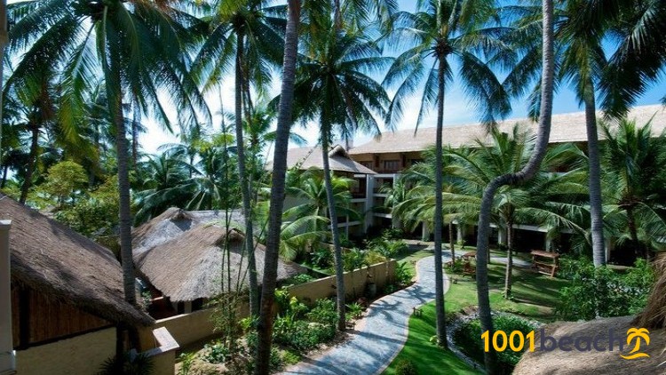 Отель Bamboo Village Beach Resort & Spa