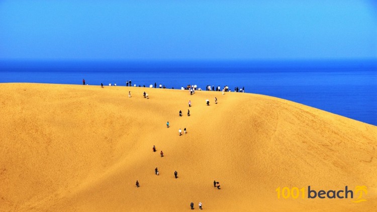 Песчаные Дюны Тоттори