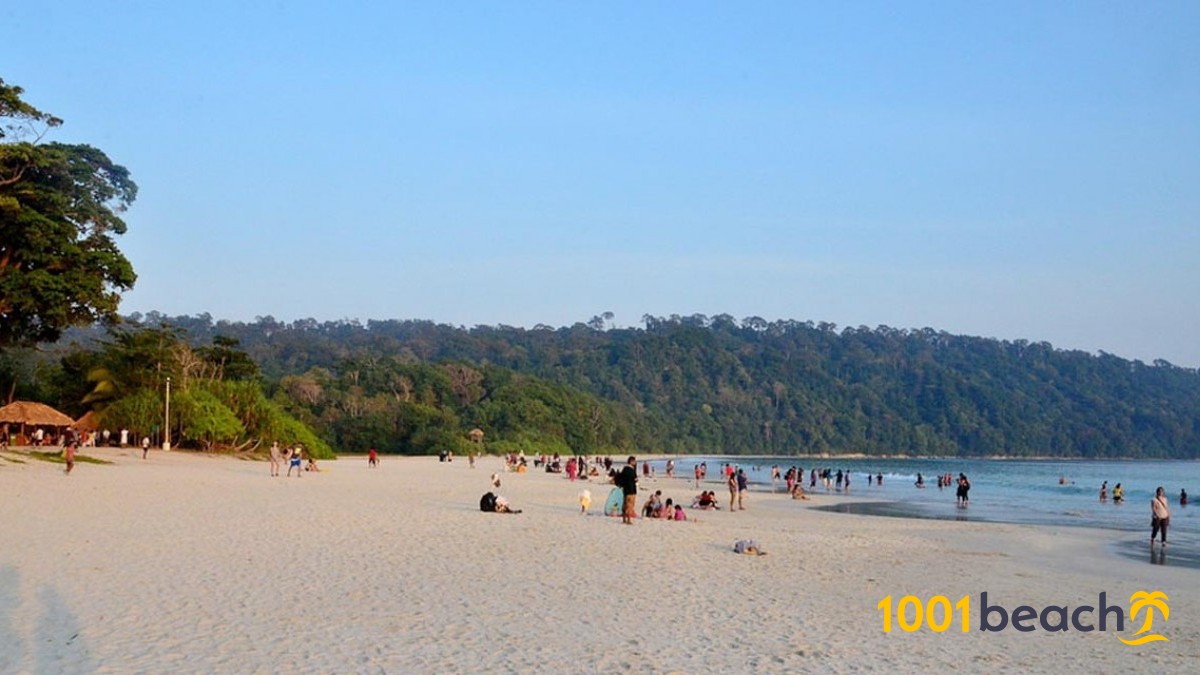 Пляж Бага в 2024