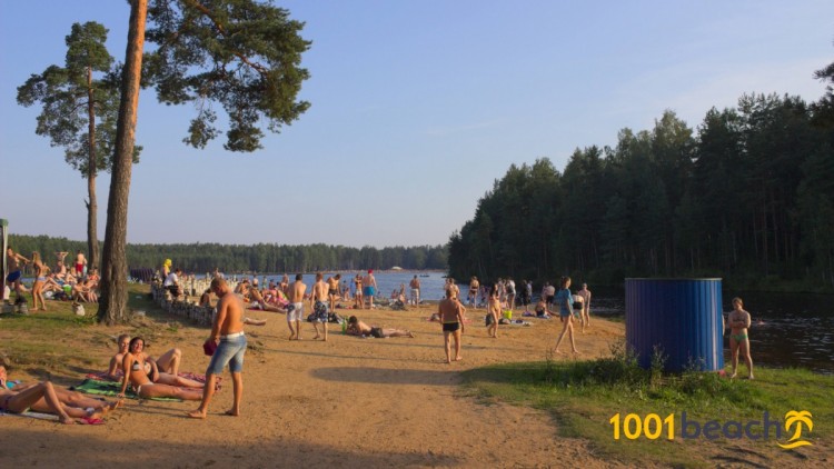 Пляж Коркинского озера
